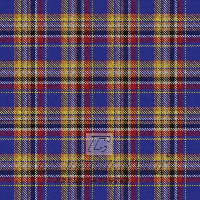 Edinburgh Fashion Festival Tartan
