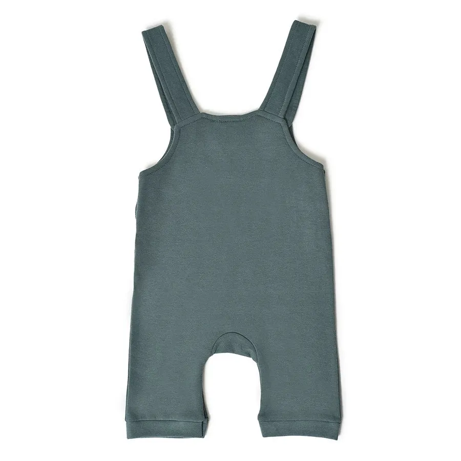 Farm Friends Kids Dungaree and T-Shirt Set